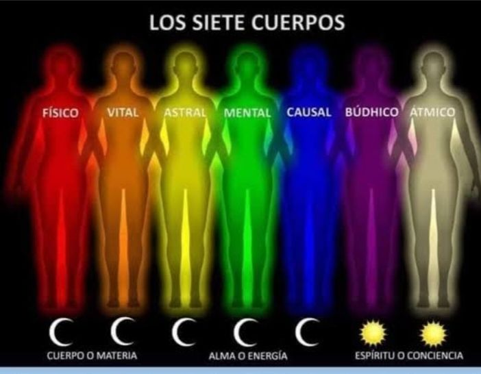LA CREACIÓN DE LOS CUERPOS INTERNOS